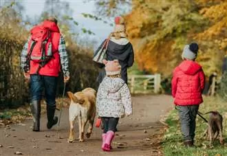 Bracing winter walks to escape the festive rush
