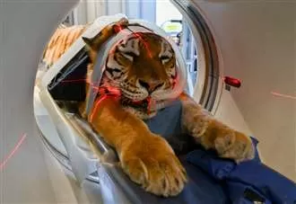 ‘It has provided us with answers and will prolong our animals’ lives’