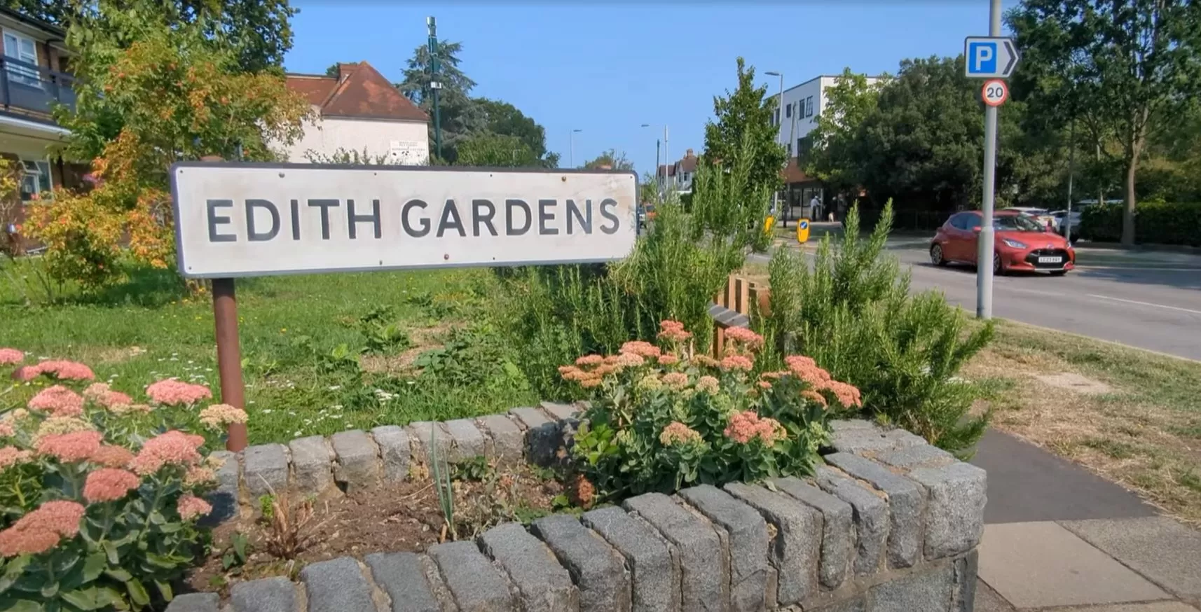 WATCH: Community-powered rewilding: How Citizen Zoo is bringing nature to Londoners