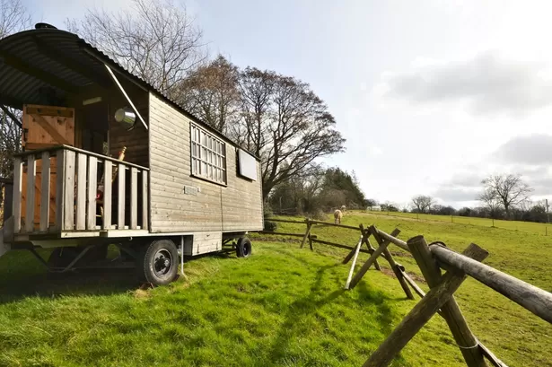 You can stay in a hut with a hot tub and nothing but animals and mountains