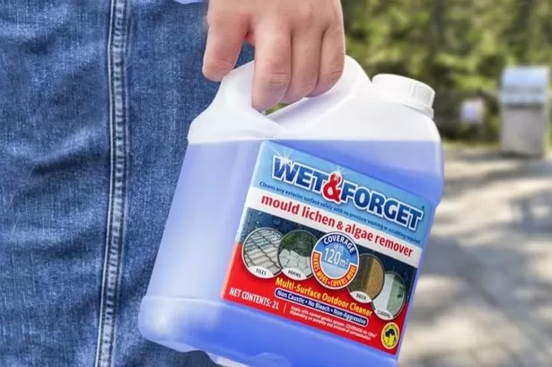 Shoppers praise 'Wet and Forget' algae remover as the 'best on the market' and 'works like magic'