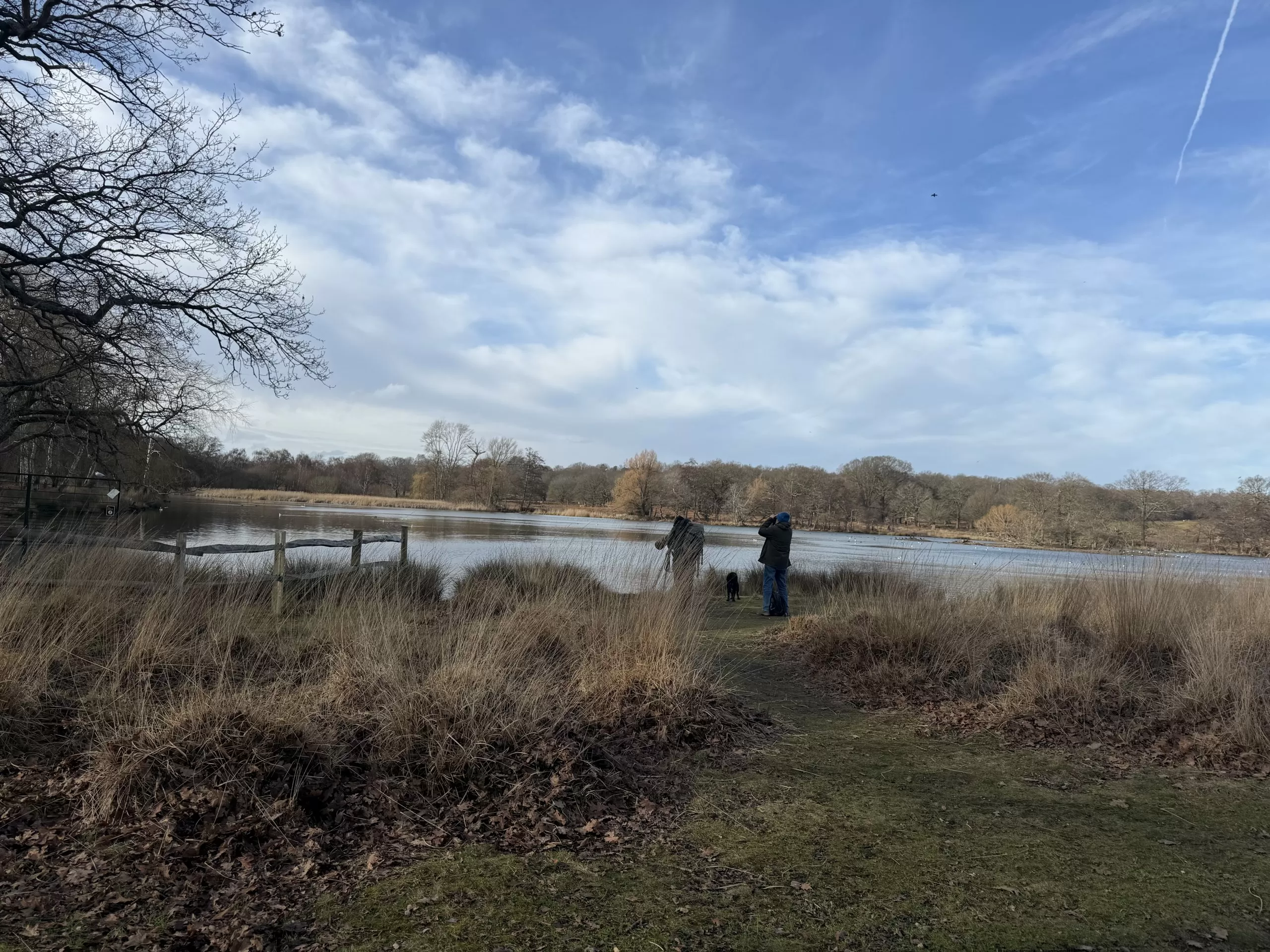 WATCH: Ordinary people are key in fight to save UK birds