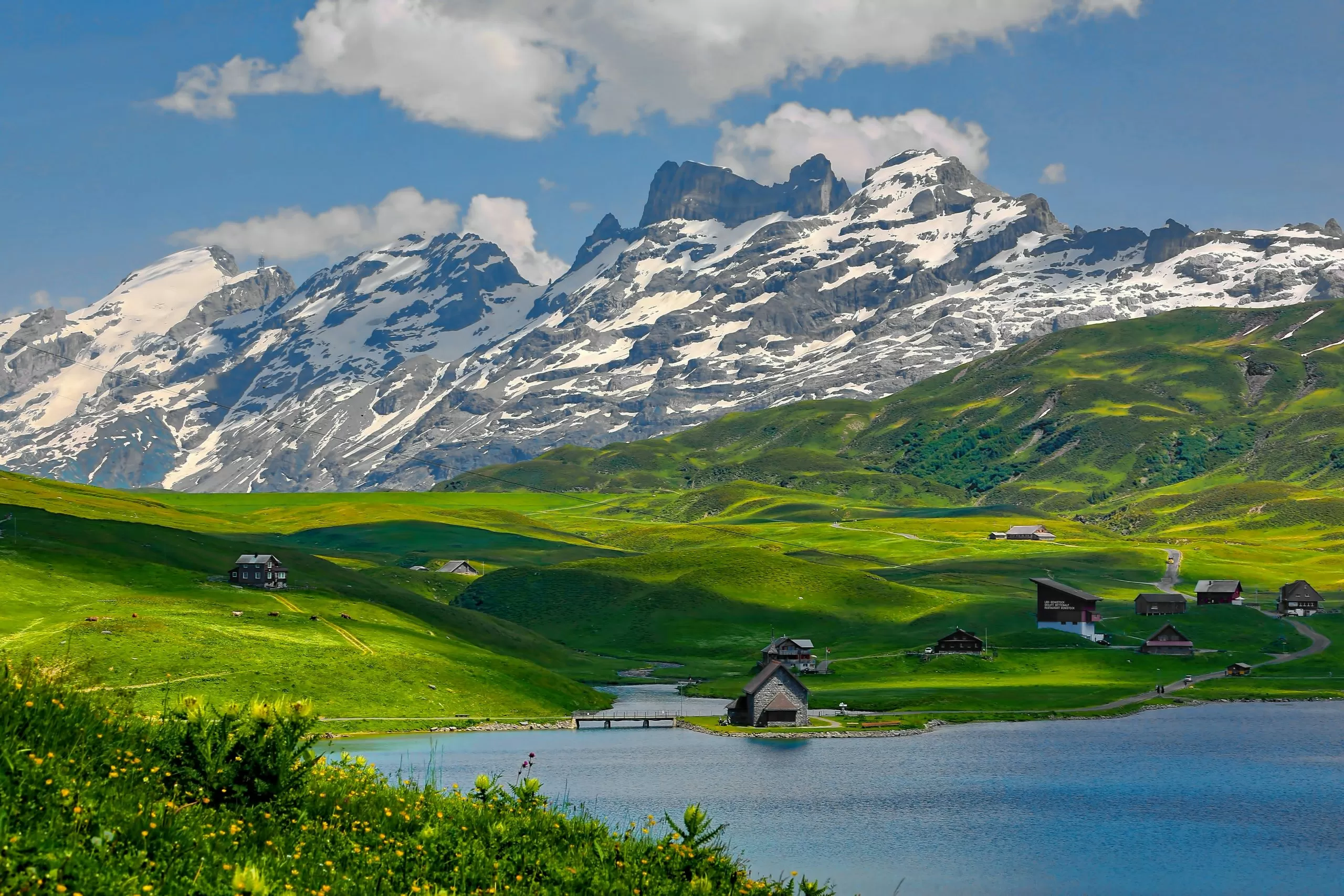 LISTEN: UK community reacts to Swiss Yodel’s UN recognition